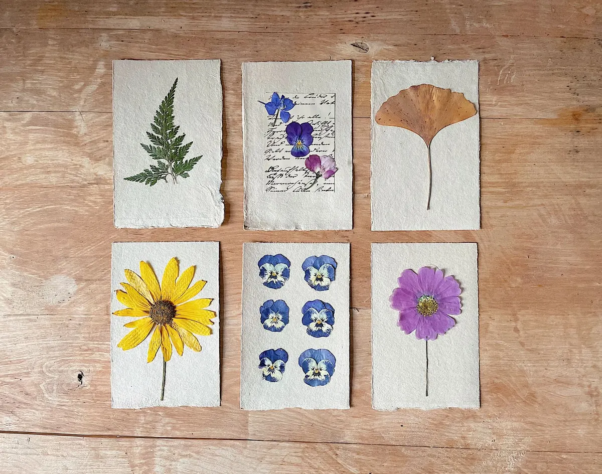 How to Make a Pressed Flower Frame Using Garden Blooms